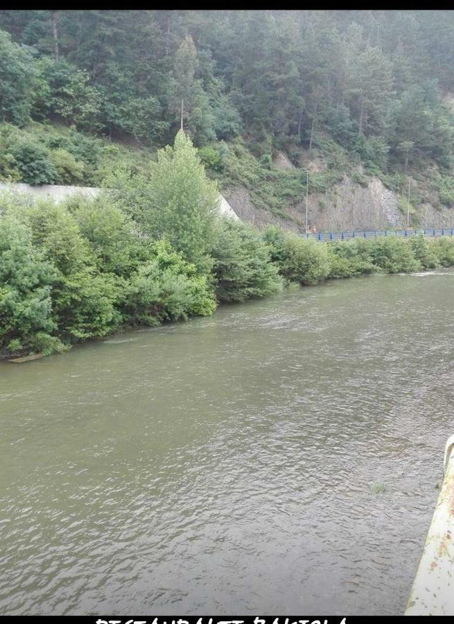 Bakiola Otel Arrankudiaga Dış mekan fotoğraf